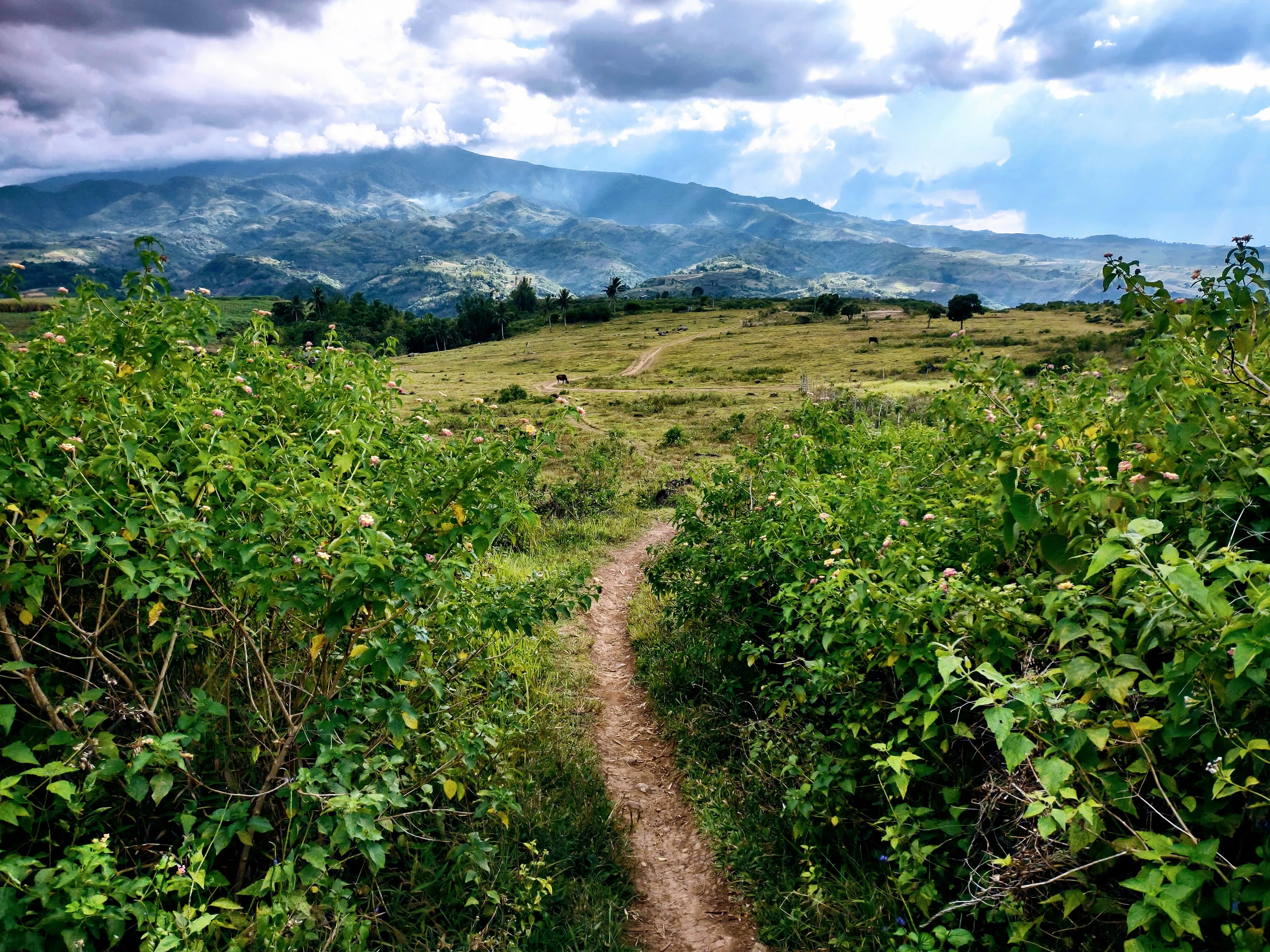 Mt. Kanlaon