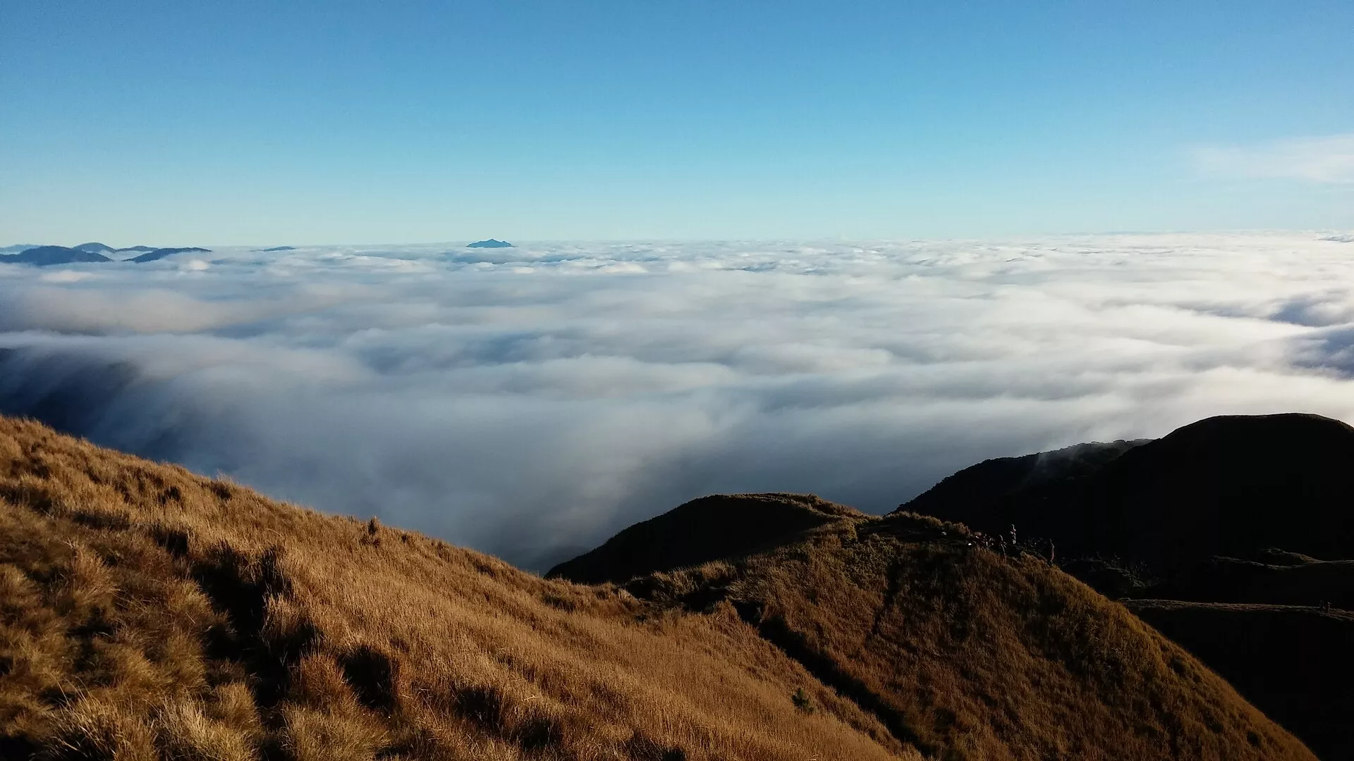 Mt. Pulag