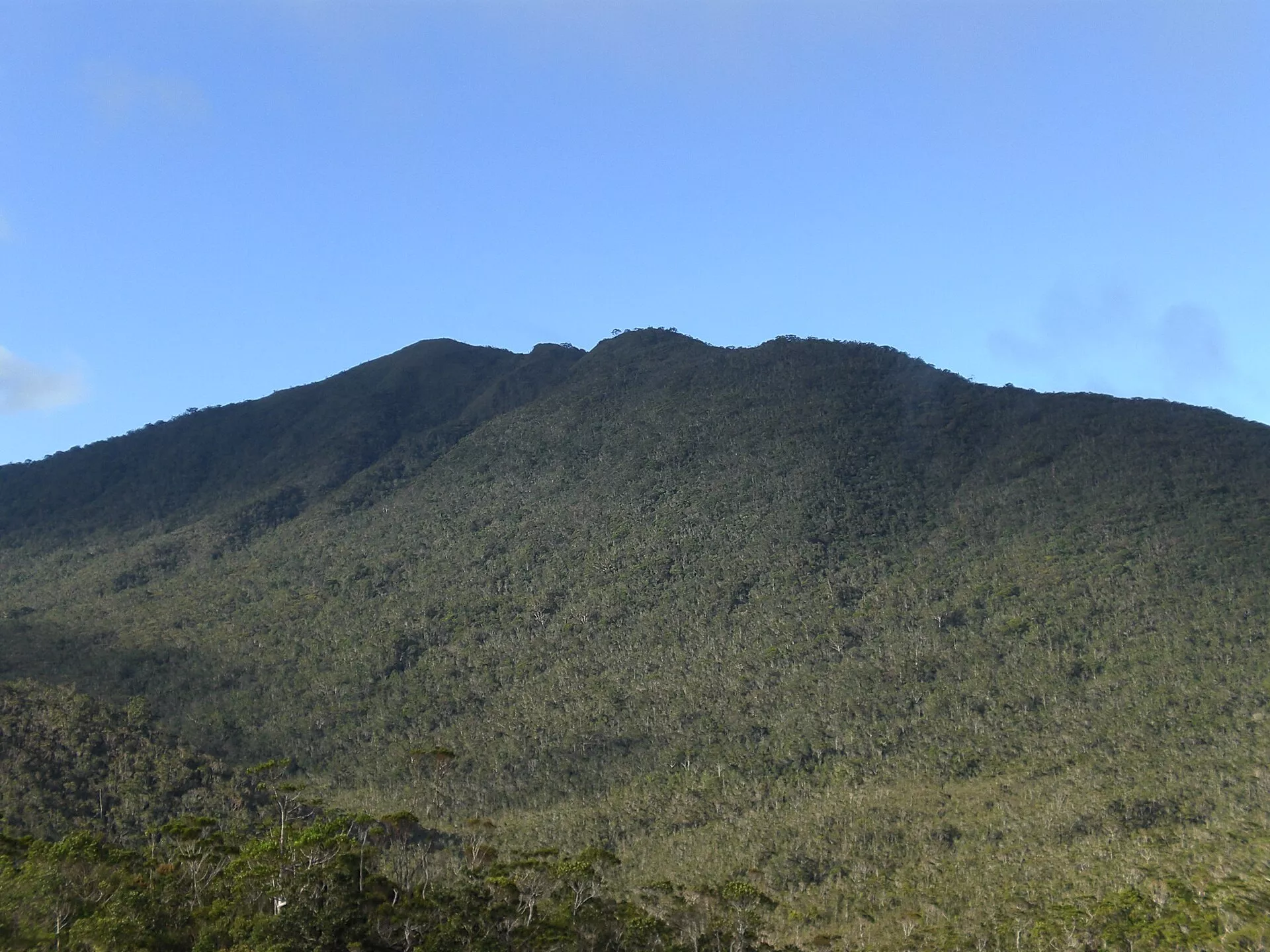 Mt. Hamiguitan