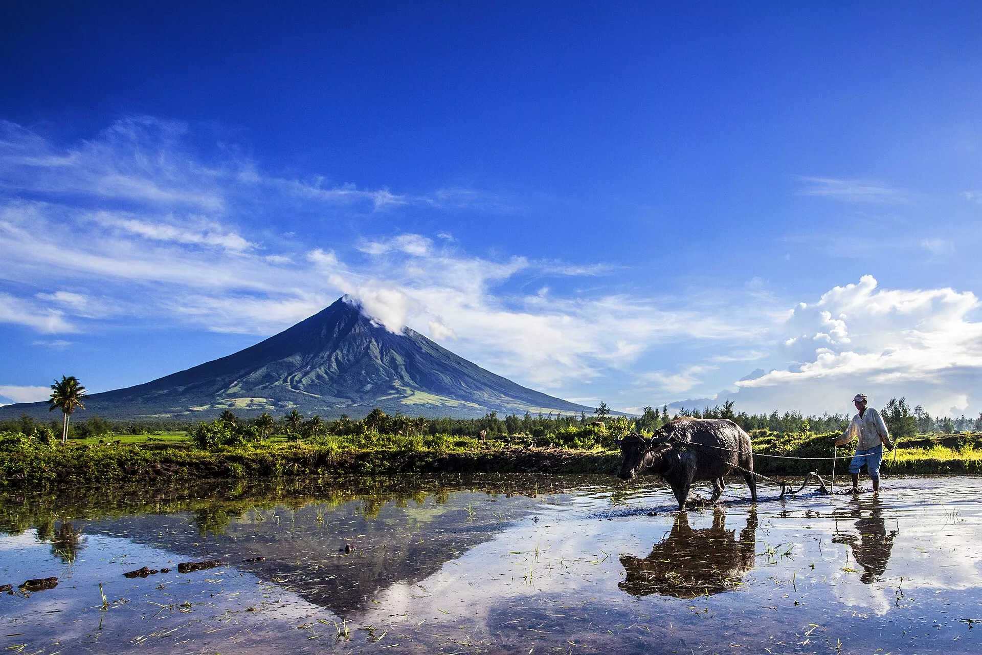 Mayon Volcano