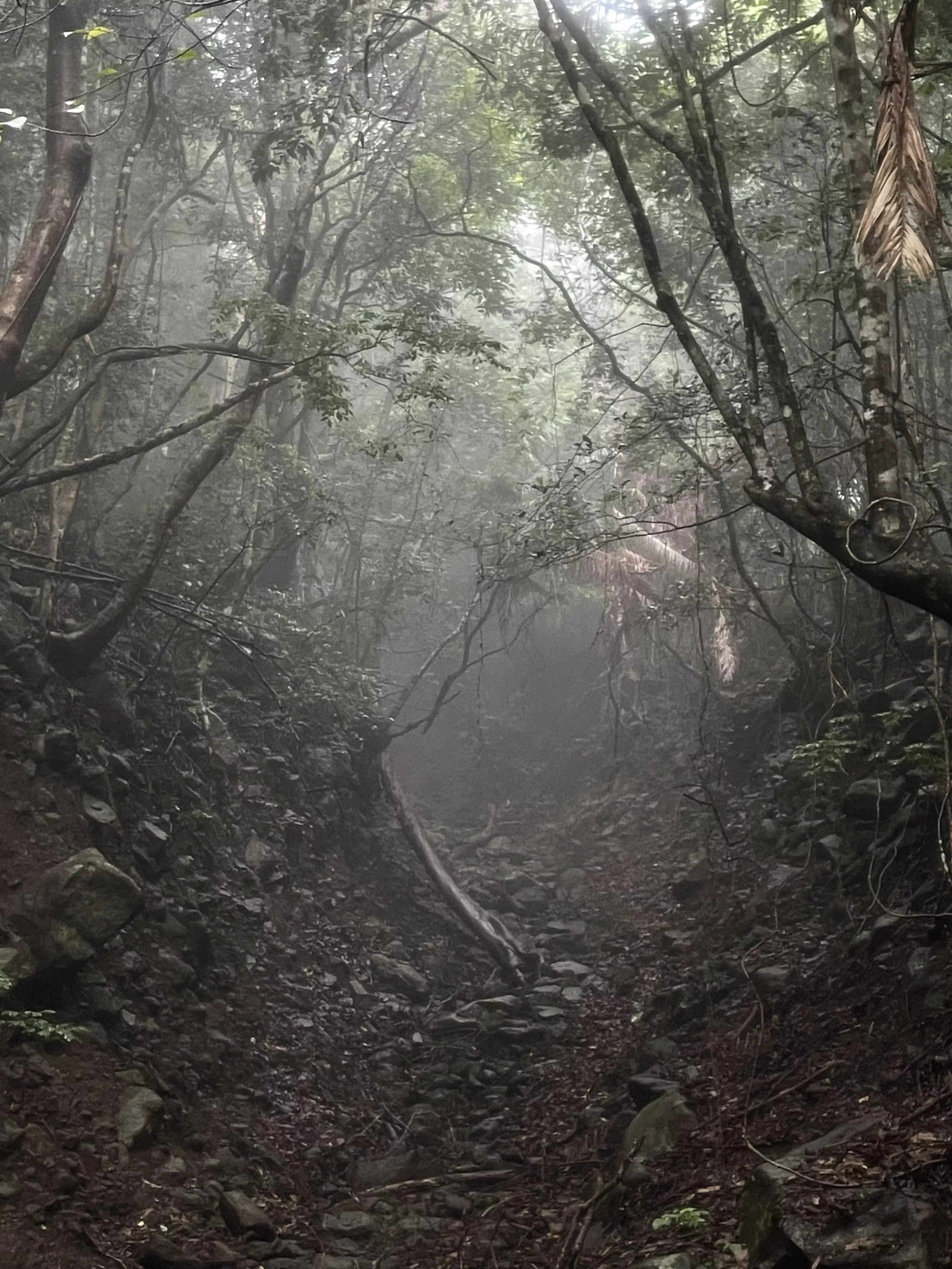 Photo 2 of Mt. Arayat