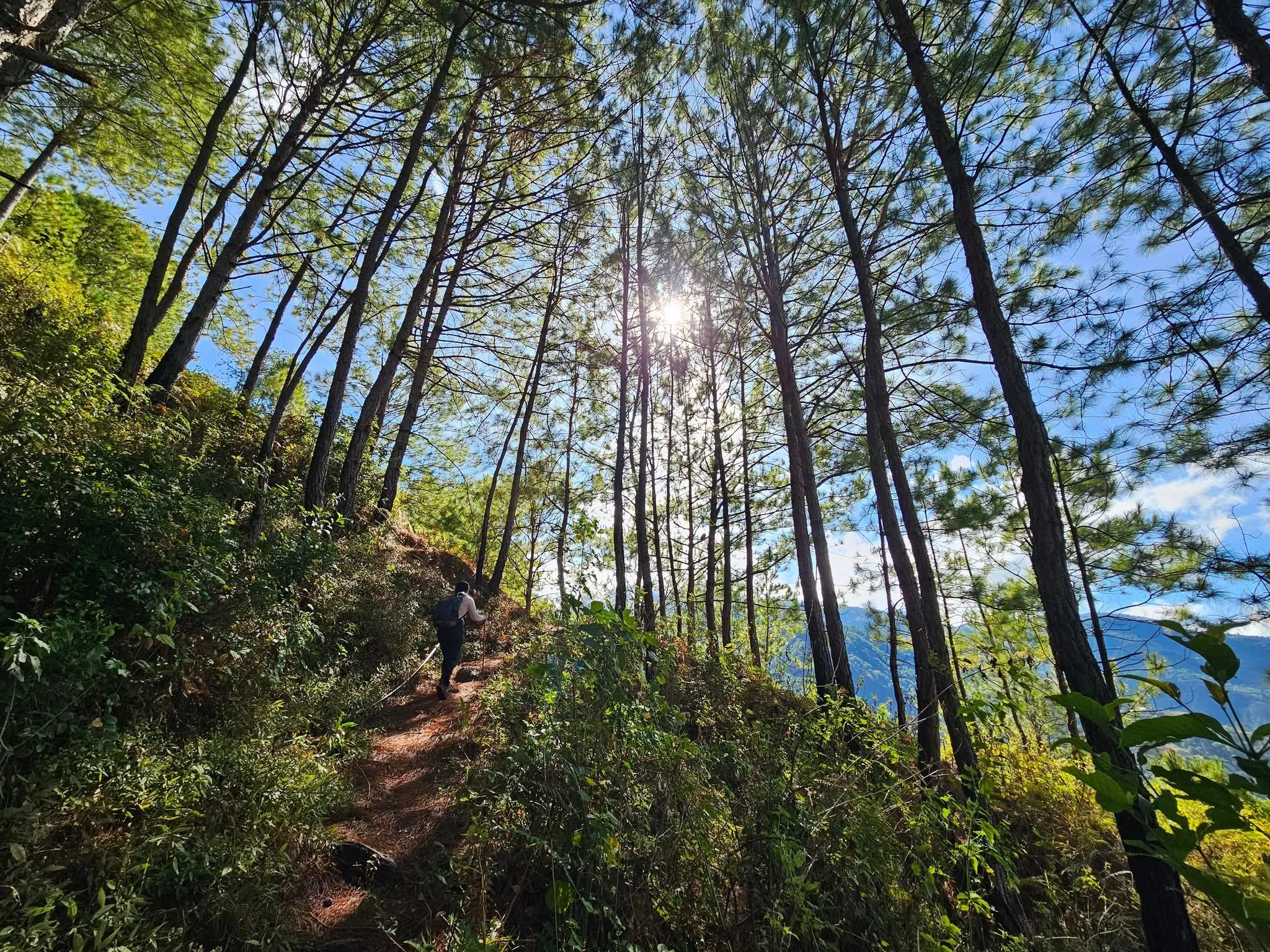 Photo 3 of Akiki Trail