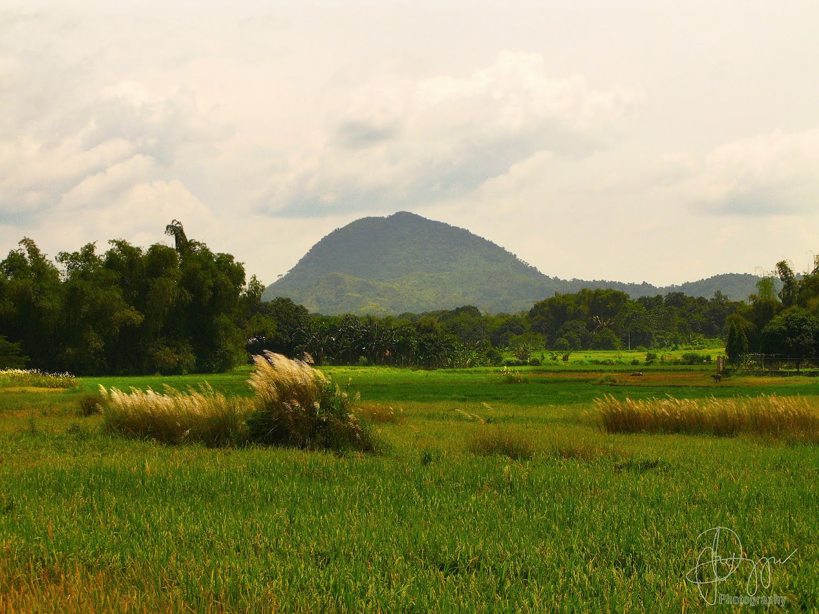 Mt. Balungao