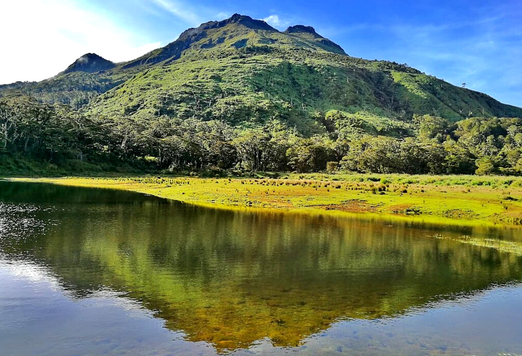 hiking-in-mindanao-mountains-ph